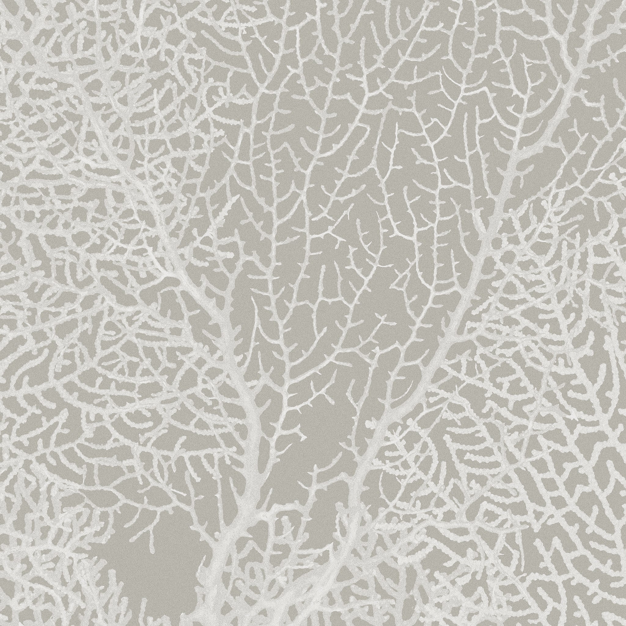 Calico Wallpaper: Coralline in Algae