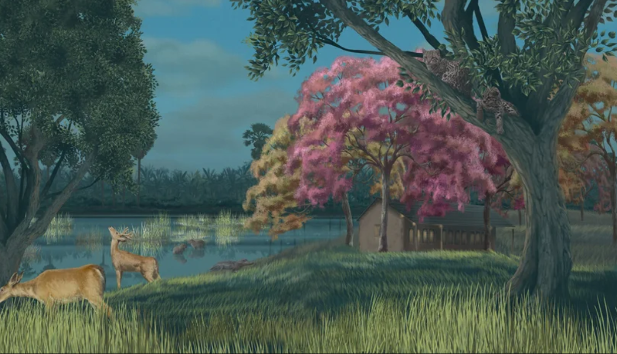 Sofia Willemoes: Ibera/ Iberian on Classic