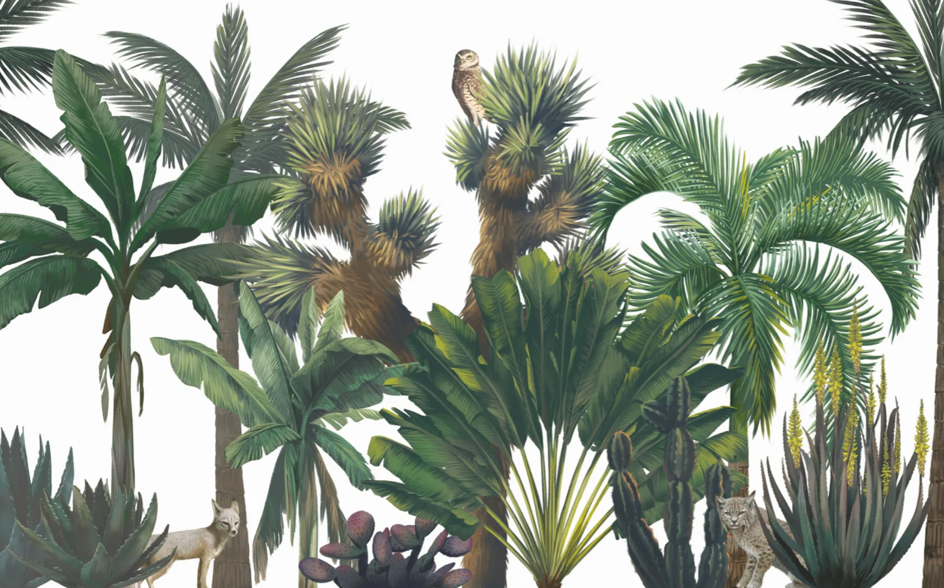 Sofia Willemoes: Palm Springs