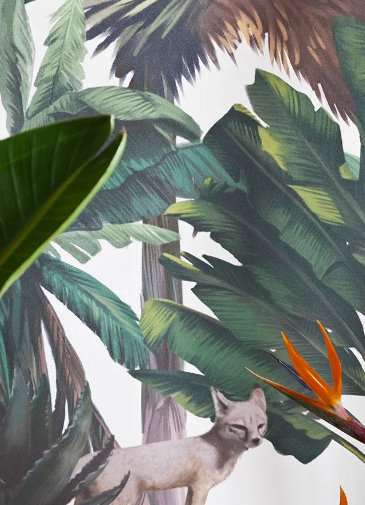 Sofia Willemoes: Palm Springs