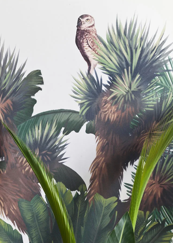 Sofia Willemoes: Palm Springs