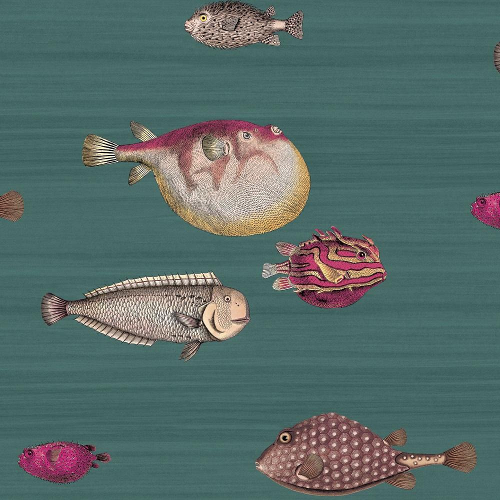 Fornasetti Acquario – Walnut Wallpaper