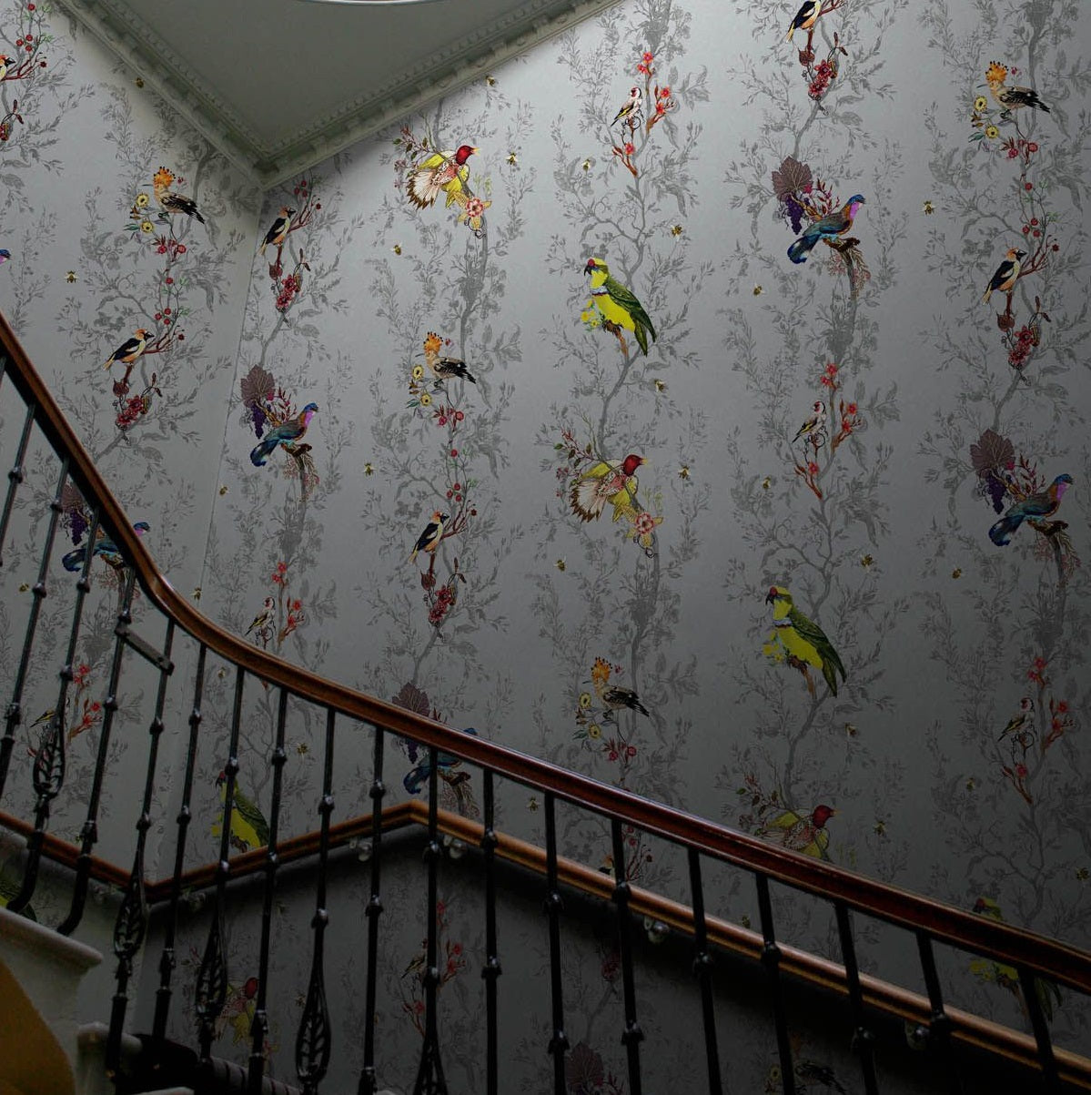 Multicolored Birds on Grey