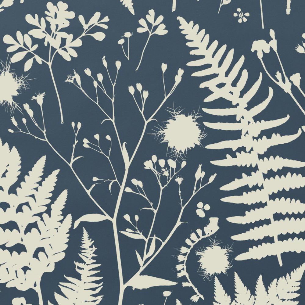 fossil forager wallpaper