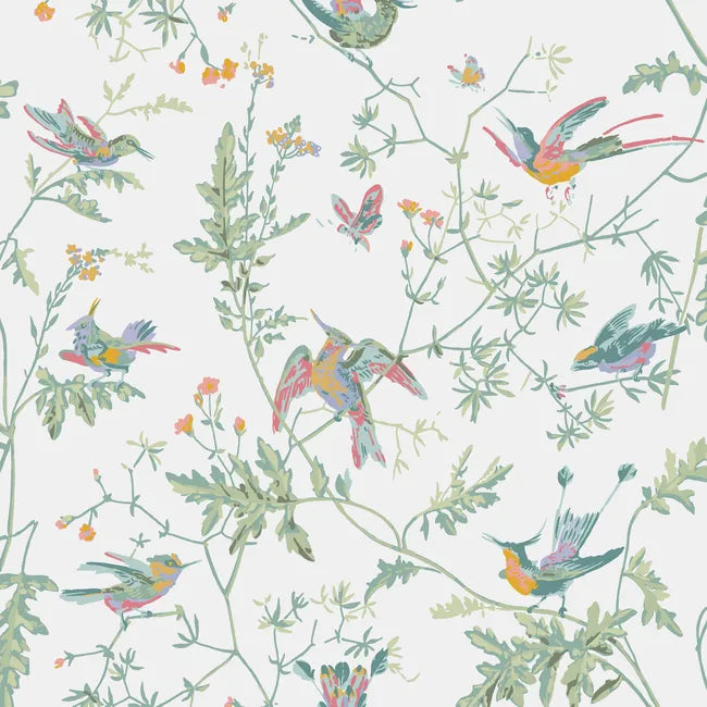 Hummingbirds