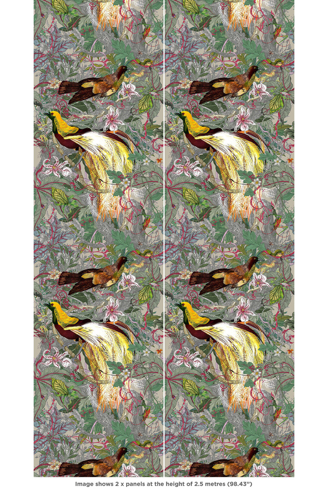 XL Jungle Modular Wallpaper Panels: Papua Paradise