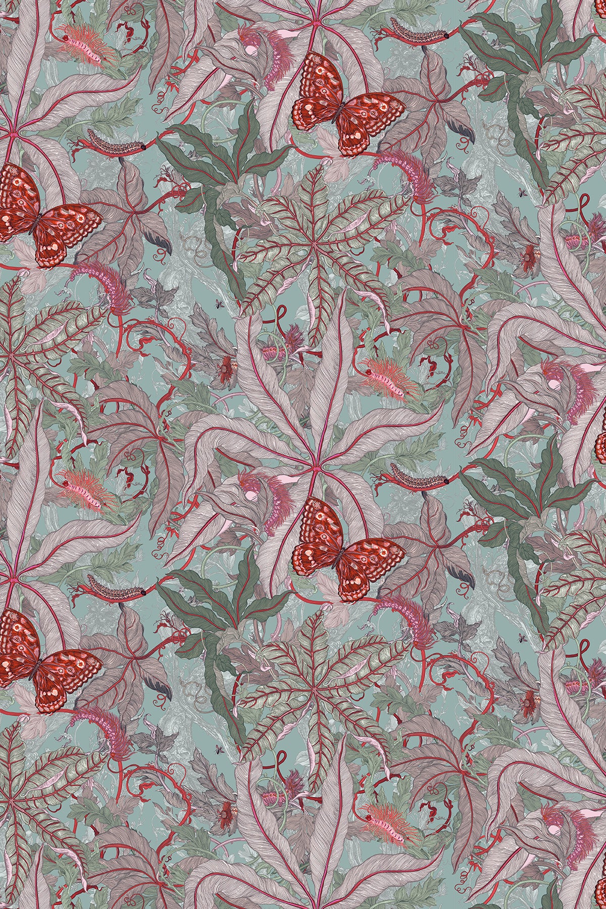 Grandifolius