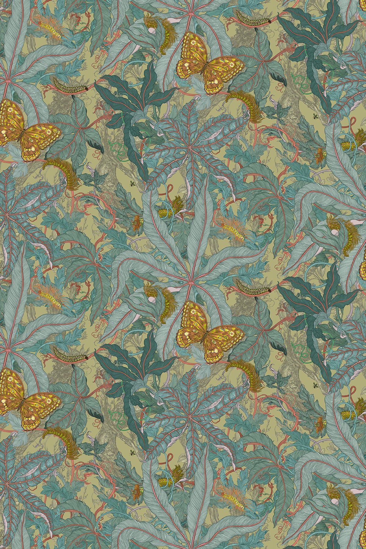 Grandifolius