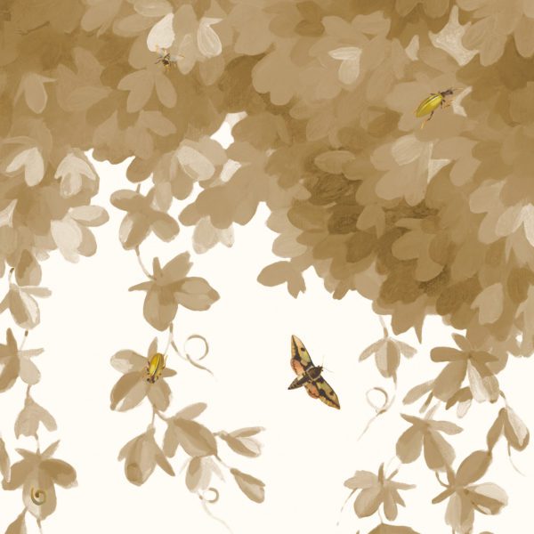 Overgrow