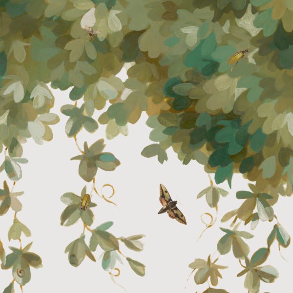 Overgrow