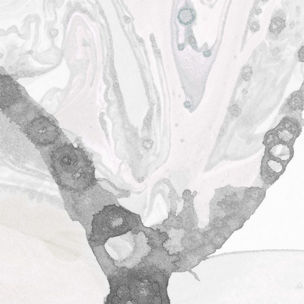 Microcosmos