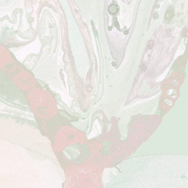 Microcosmos