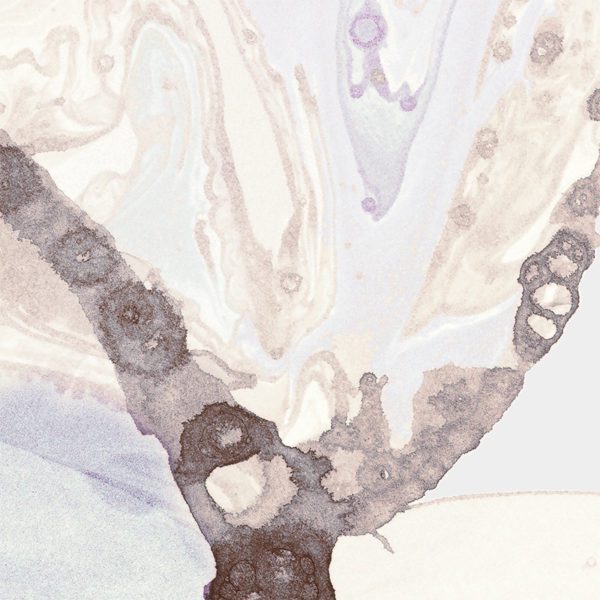 Microcosmos