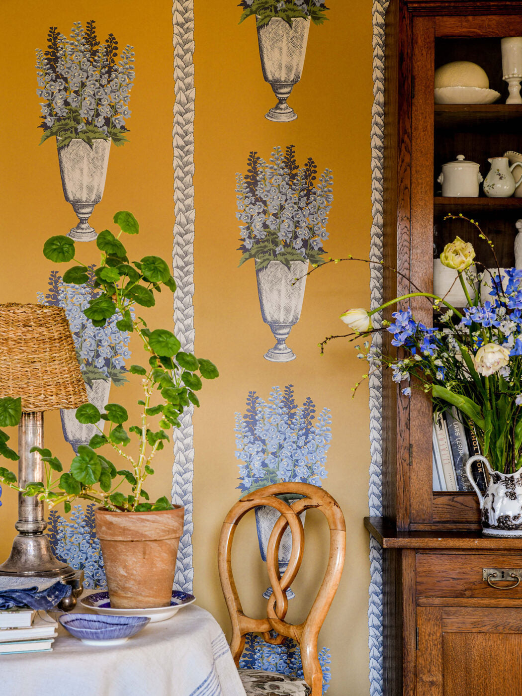 Delphinium