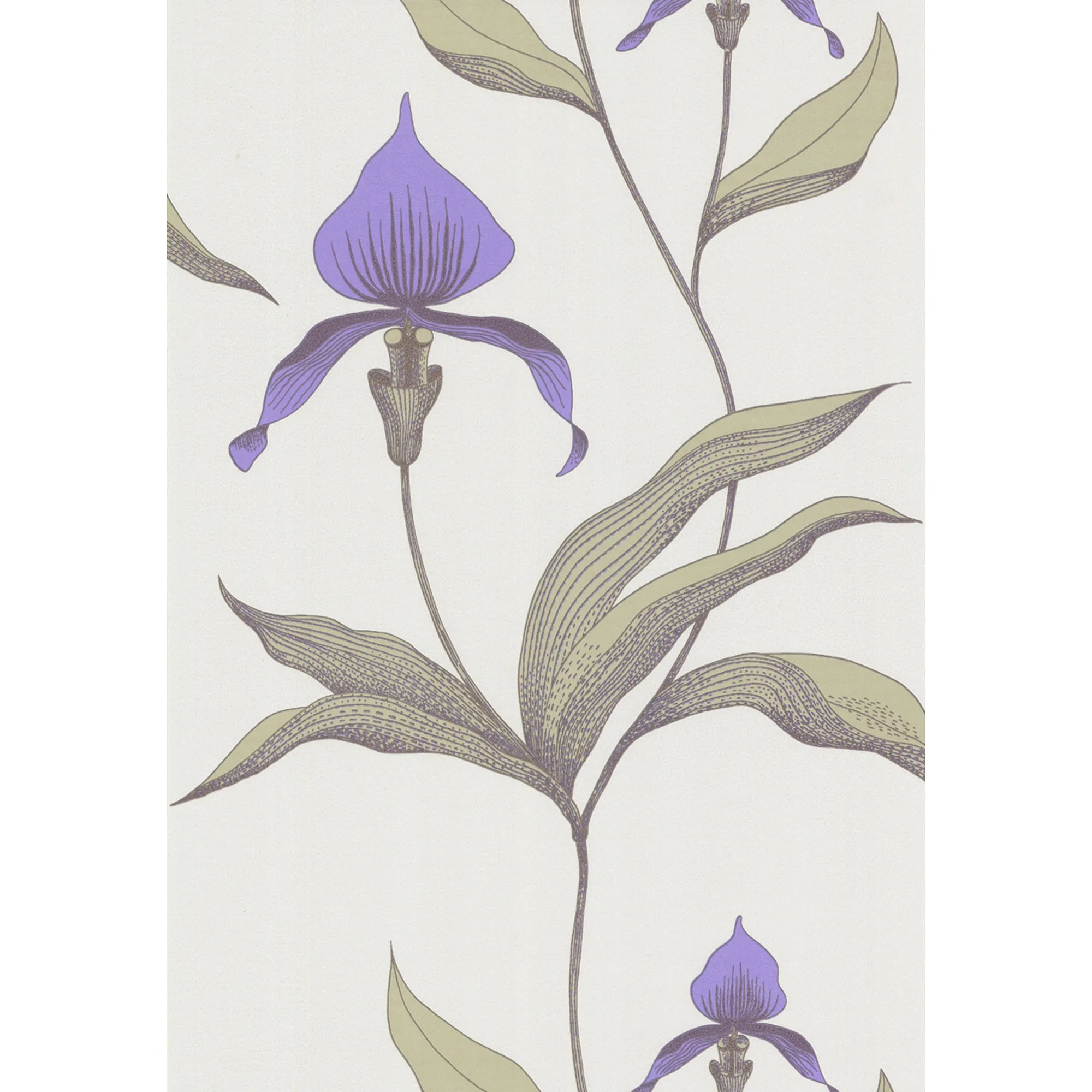 Orchid