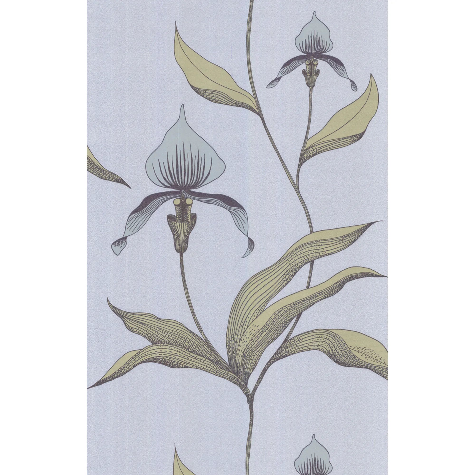 Orchid