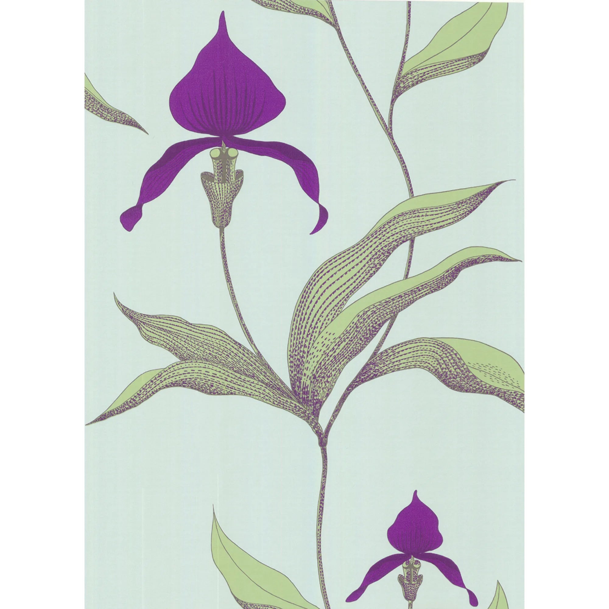 Orchid