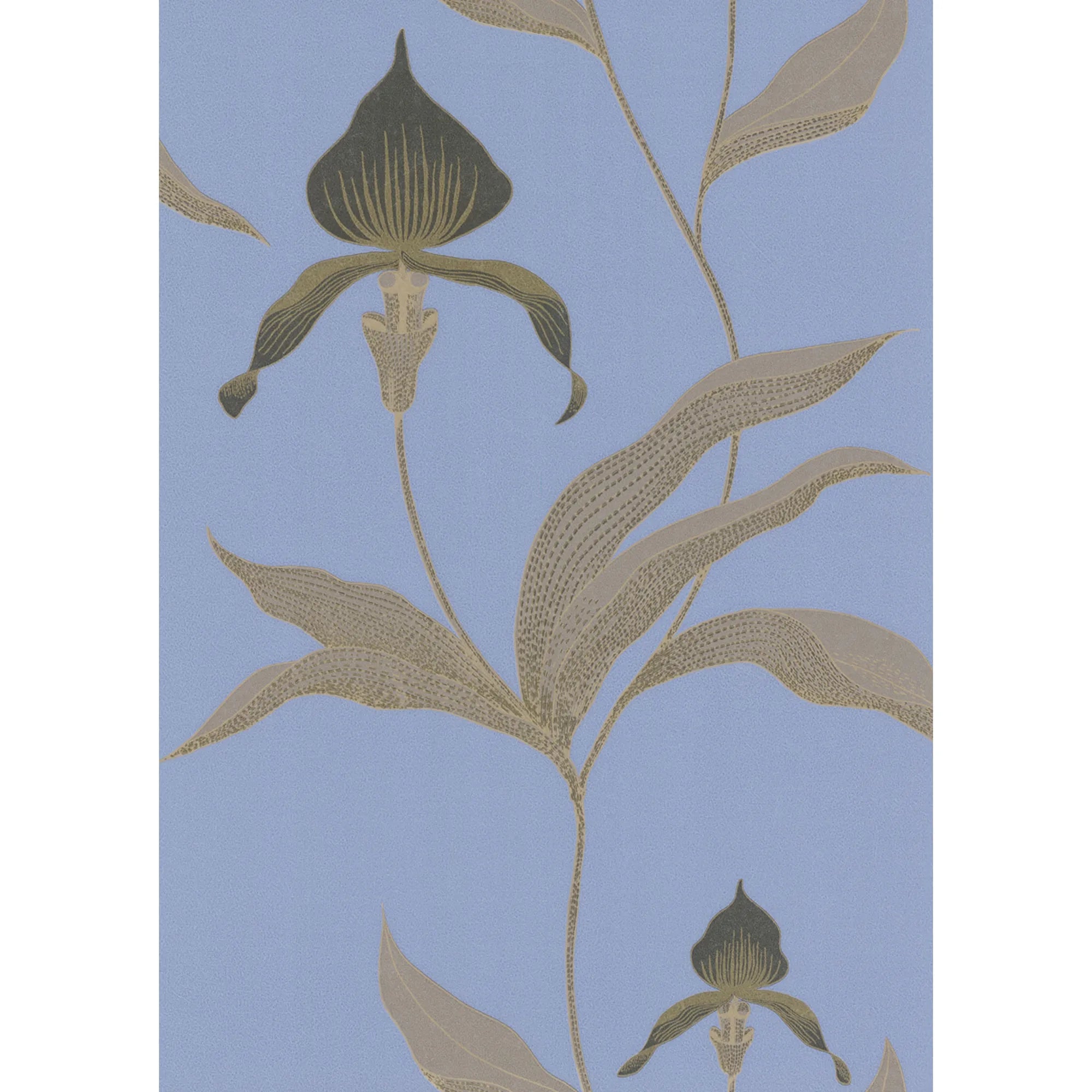 Orchid