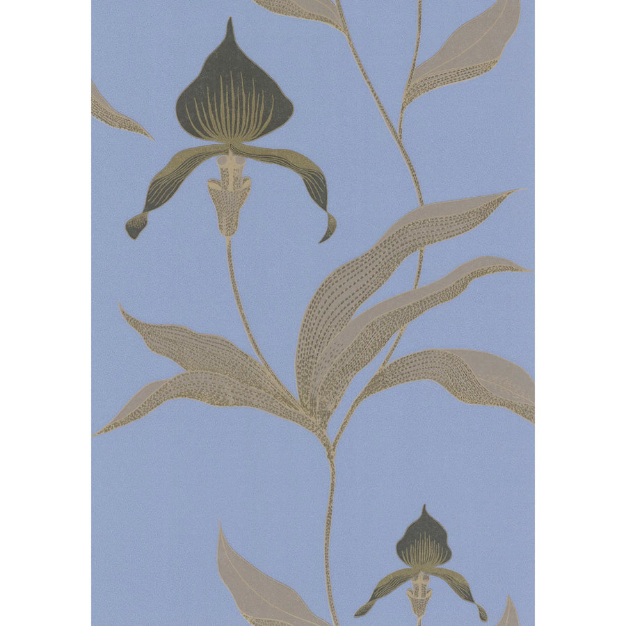 Orchid