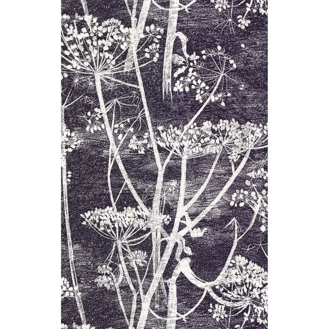 Cow Parsley