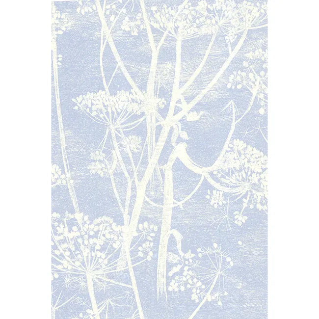 Cow Parsley
