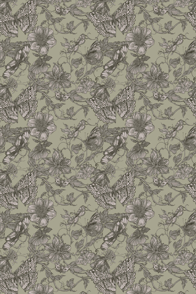 Pistachio