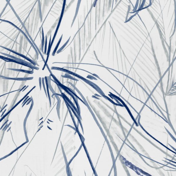 Wilds