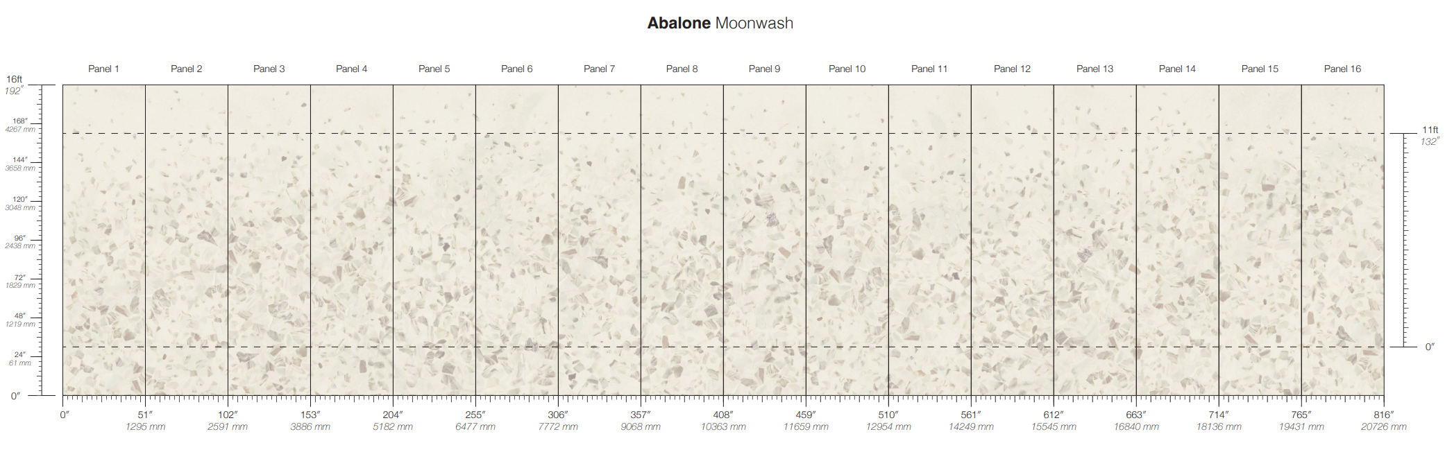 Abalone