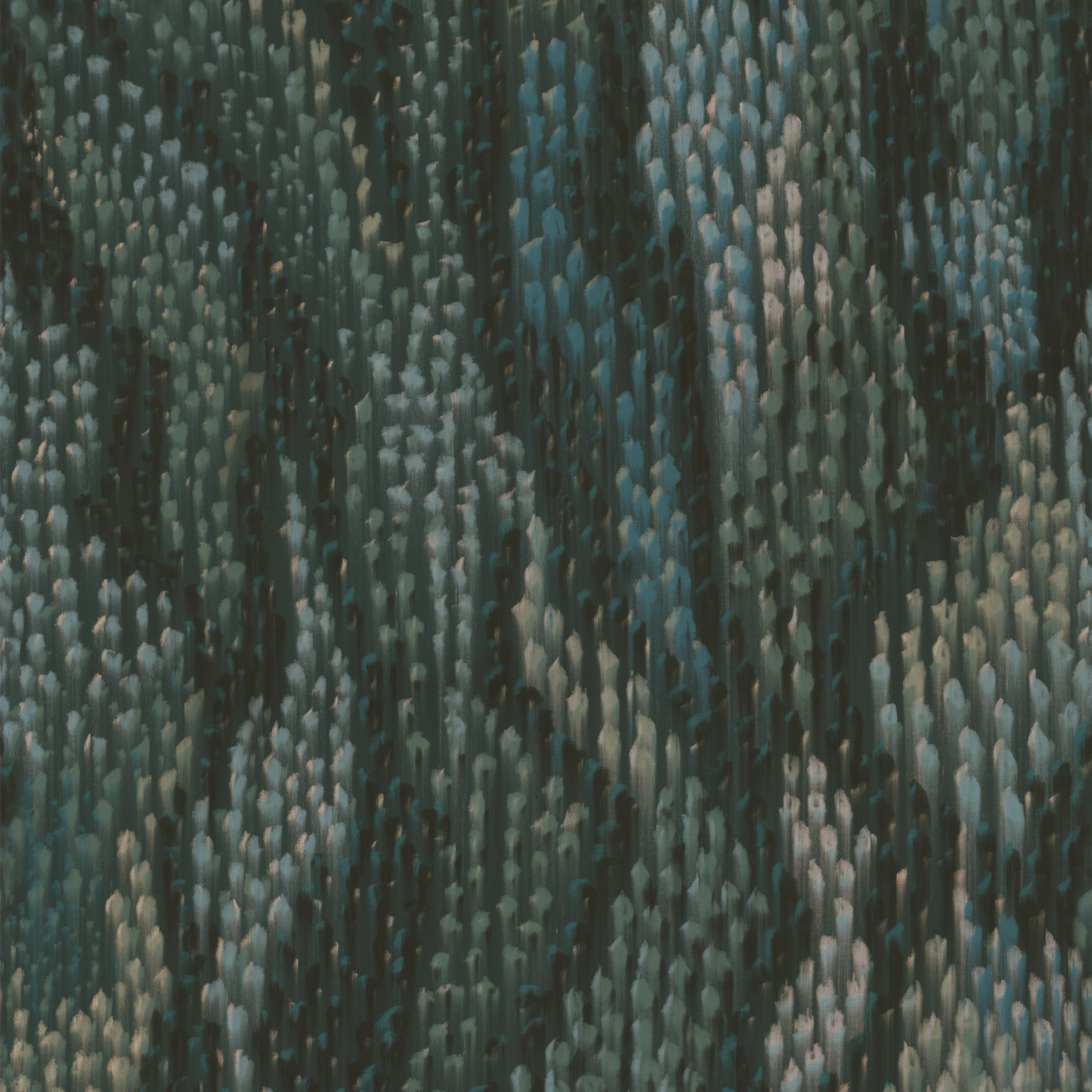 Rainy Lake