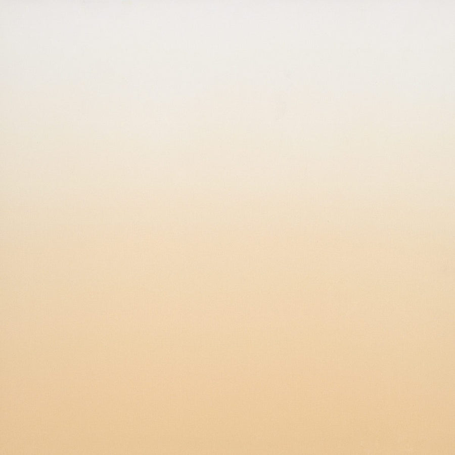 Aurora - Monochromatic Ombre