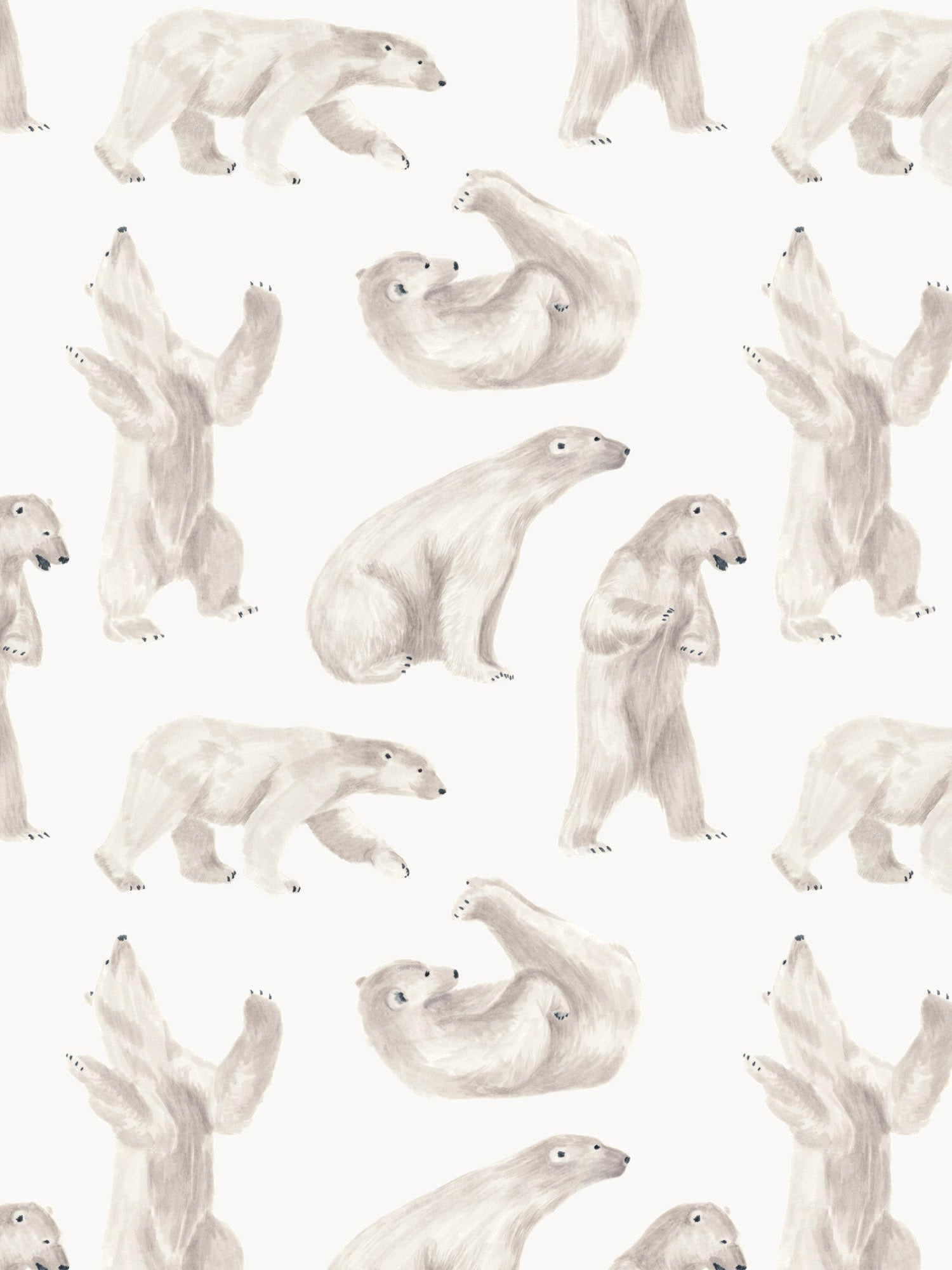 BANQUISE-ice-flow-polar-bear.jpg