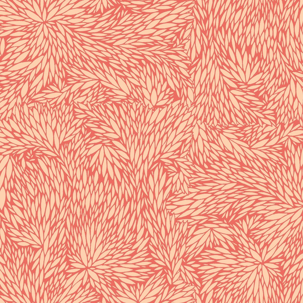 Sun Bleached Coral