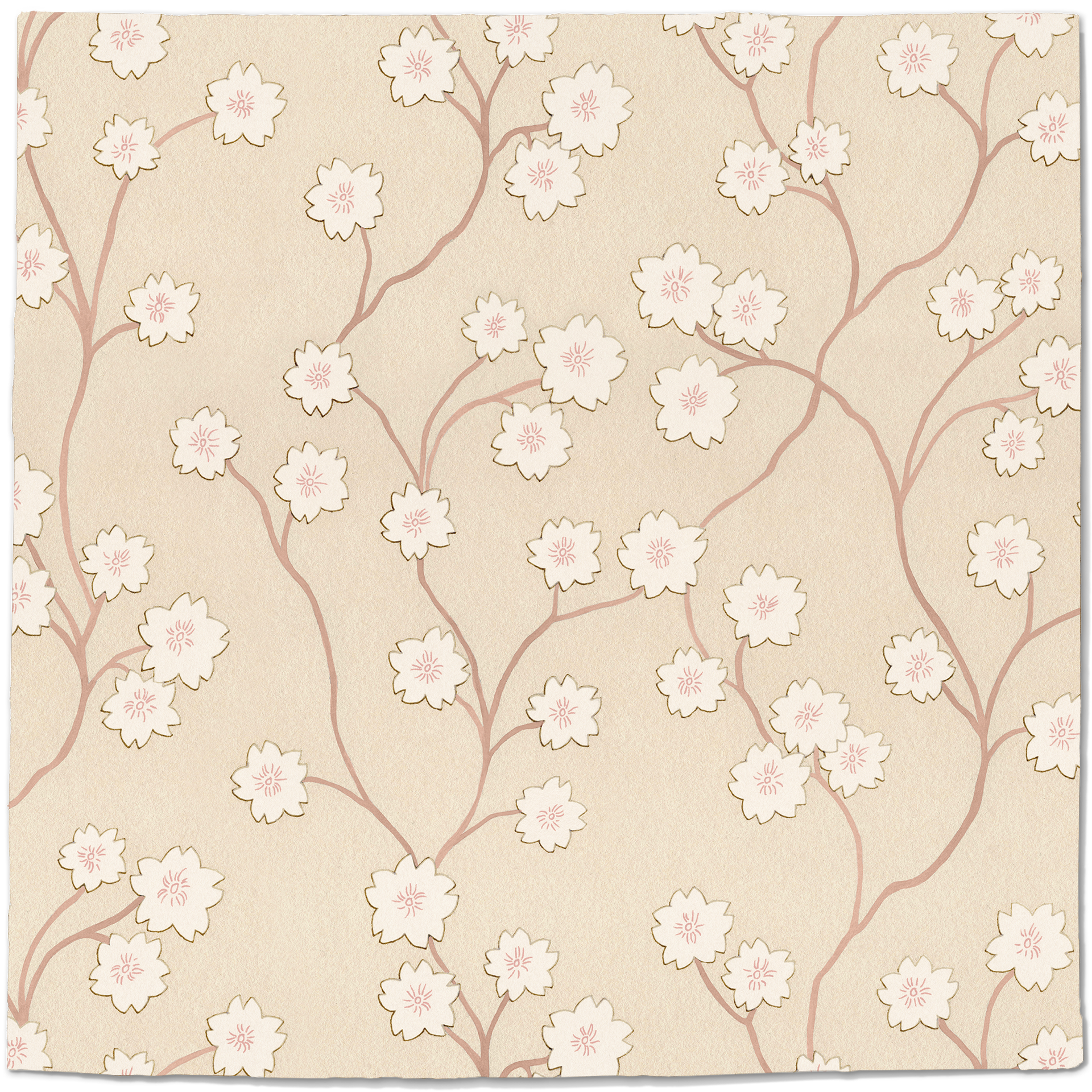 Blossom
