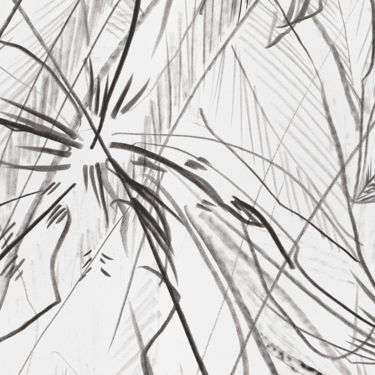 Wilds
