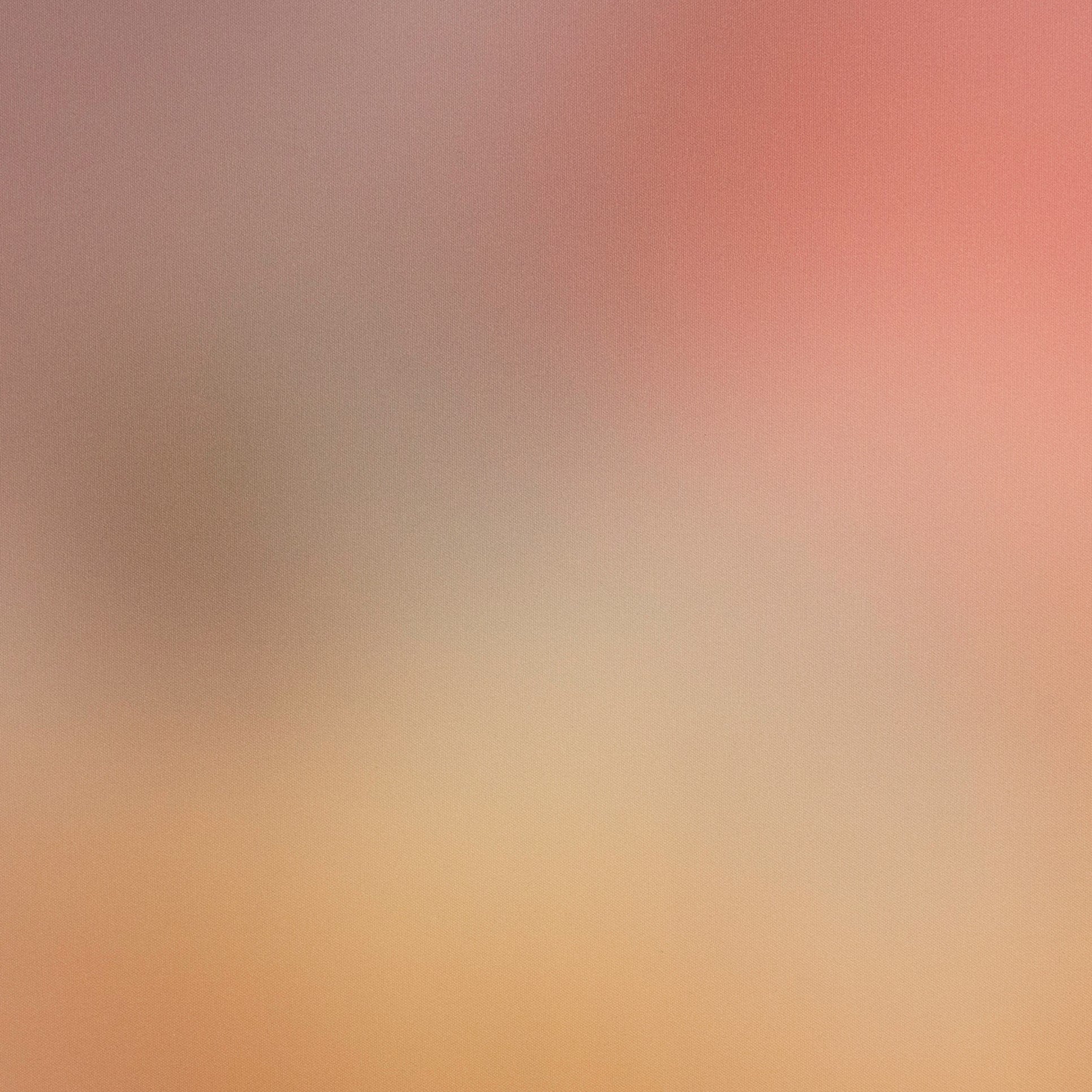 Calico:  Aura Wallpaper in Mula