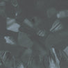 Calico Wallpaper: Abalone in Abyss 