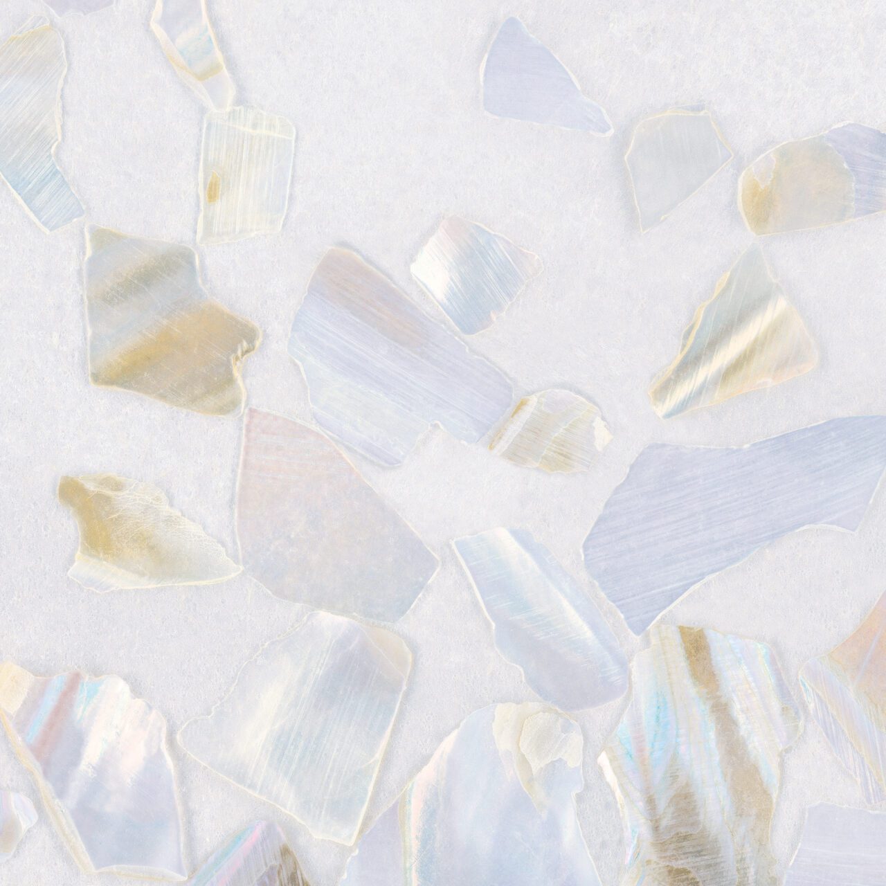 Calico Wallpaper: Abalone in Bay 