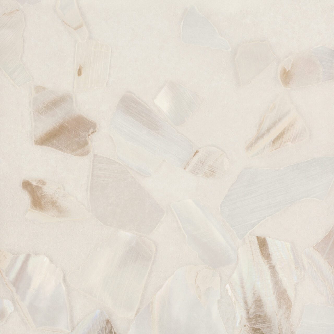 Calico Wallpaper: Abalone in Shoreline 
