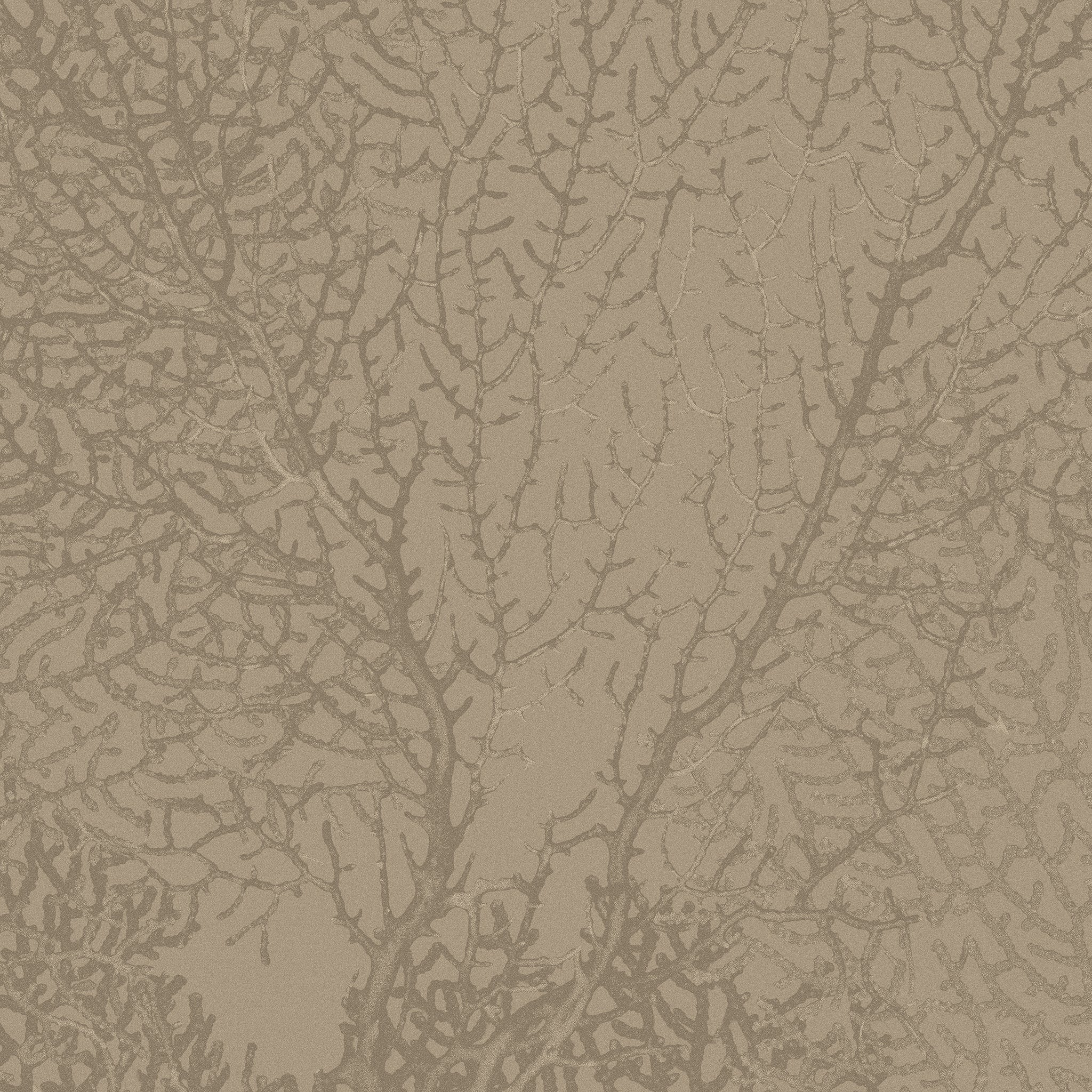 Calico Wallpaper: Coralline in Algae