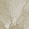 Calico Wallpaper: Coralline in Kelp 