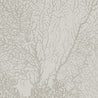 Calico Wallpaper: Coralline in Algae 