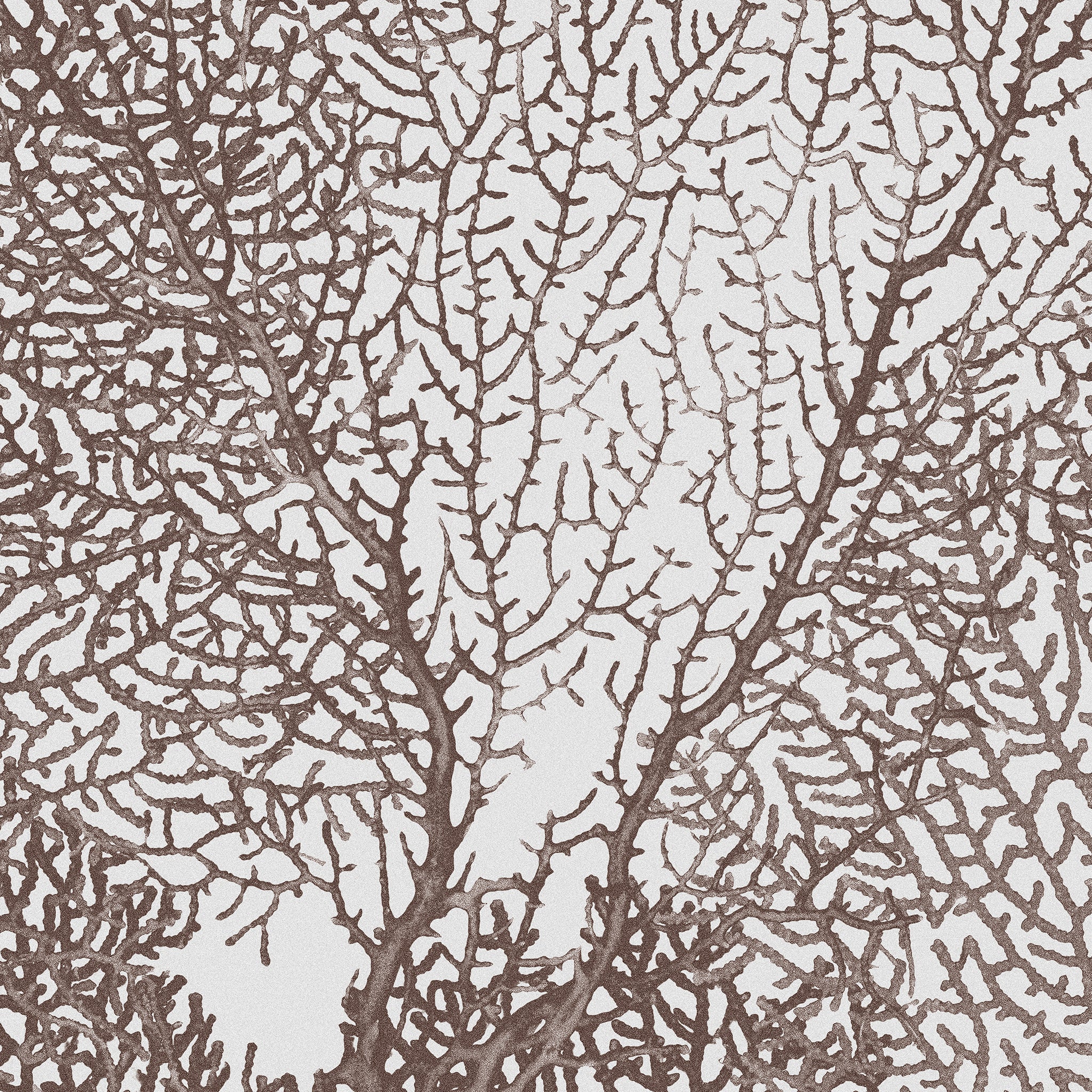 Calico Wallpaper: Coralline in Reef