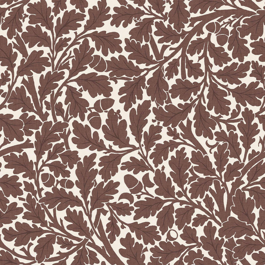 Quercus