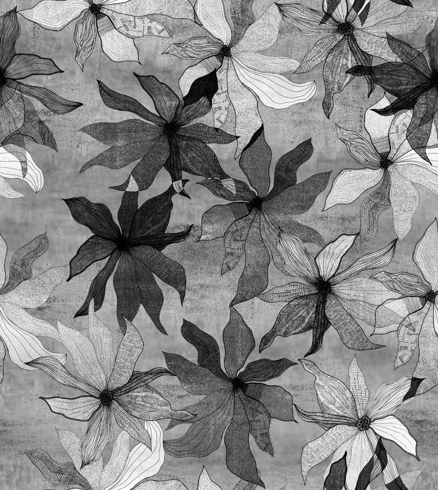 Black and White