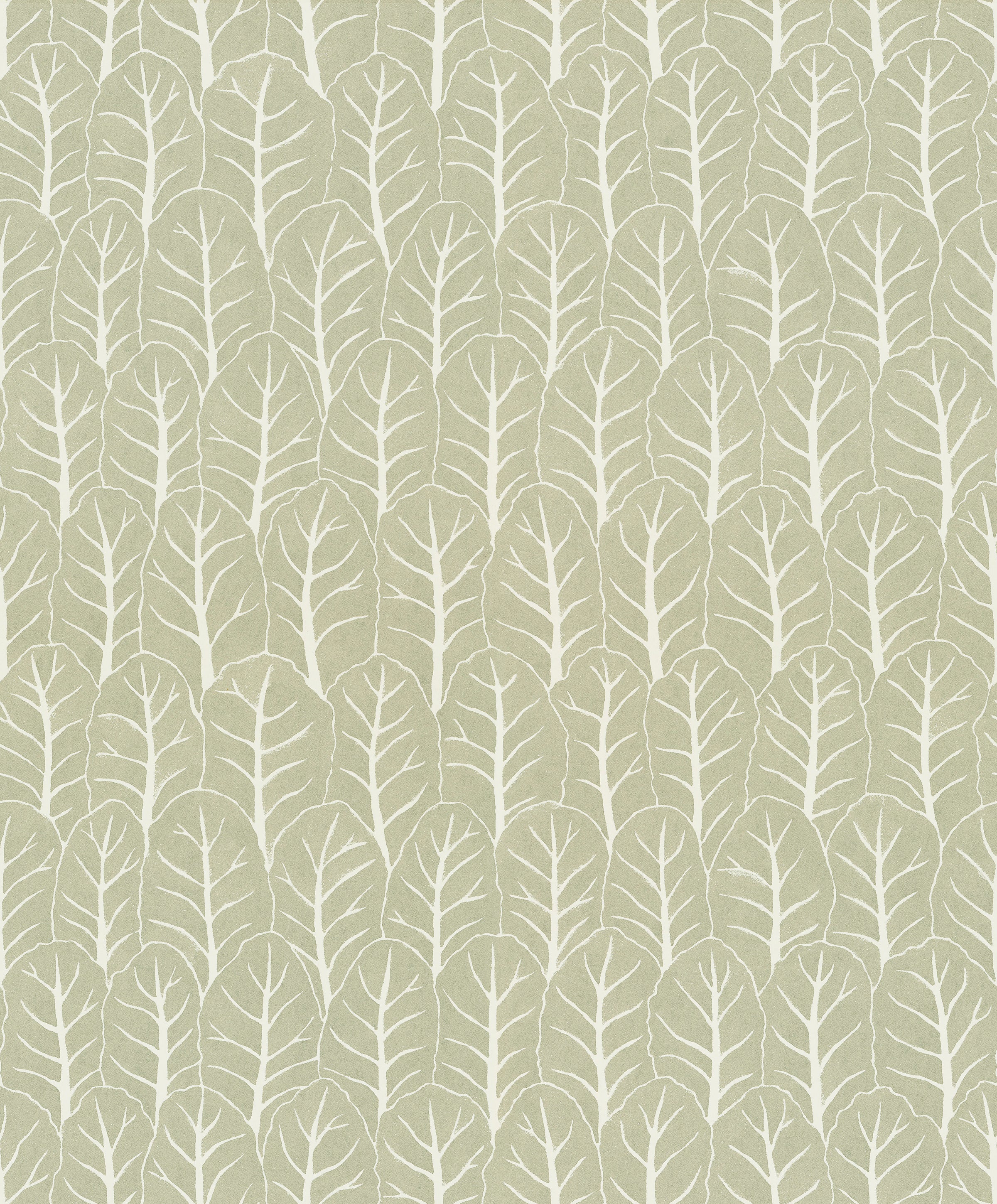 Coleslaw