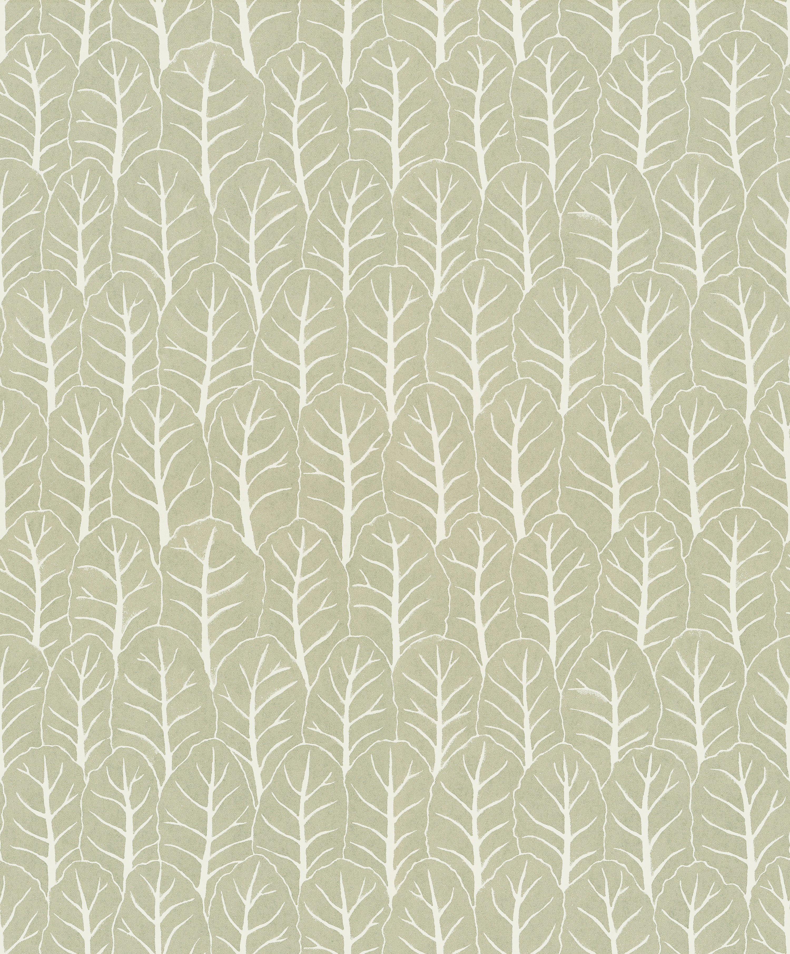 Coleslaw