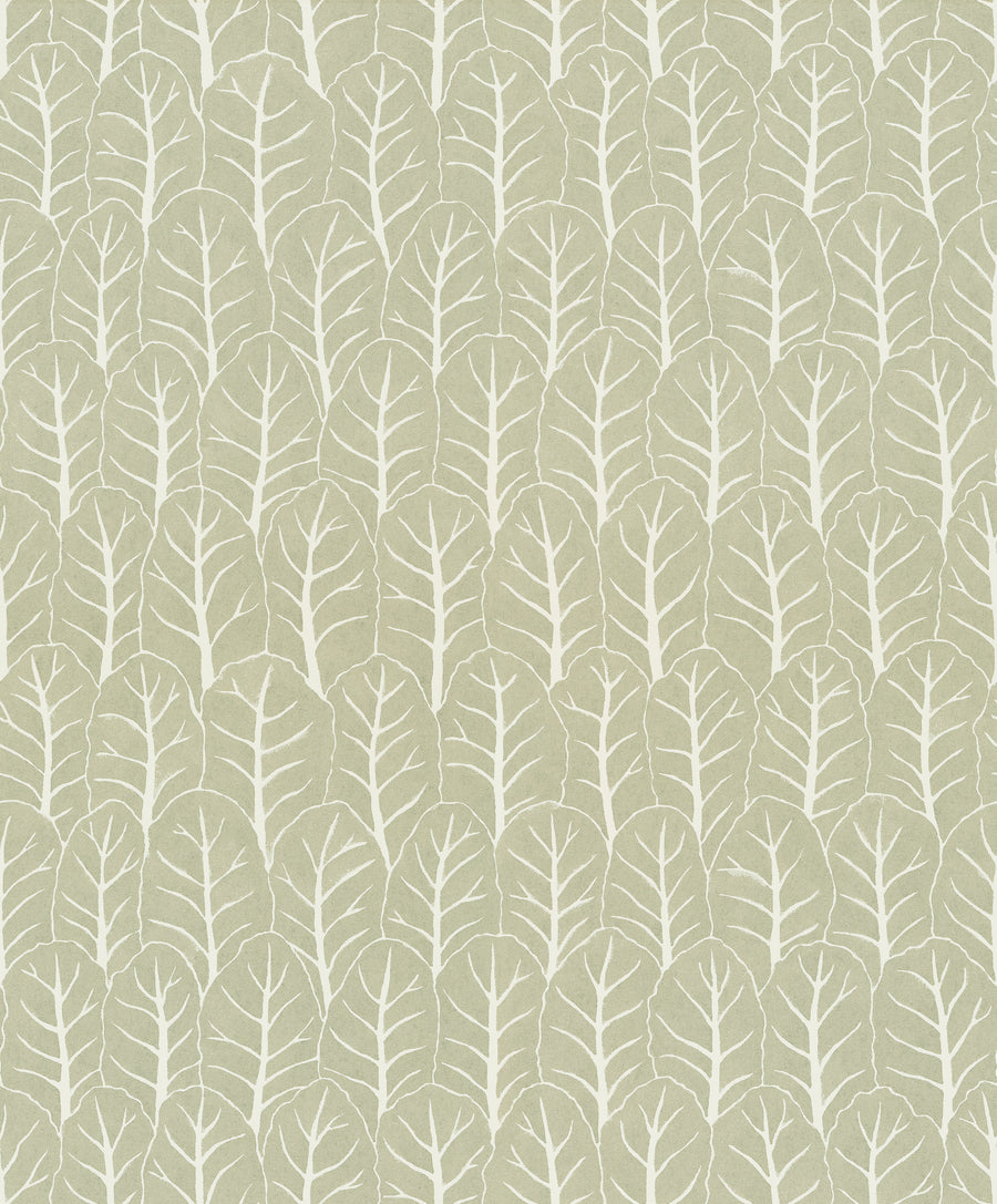 Coleslaw