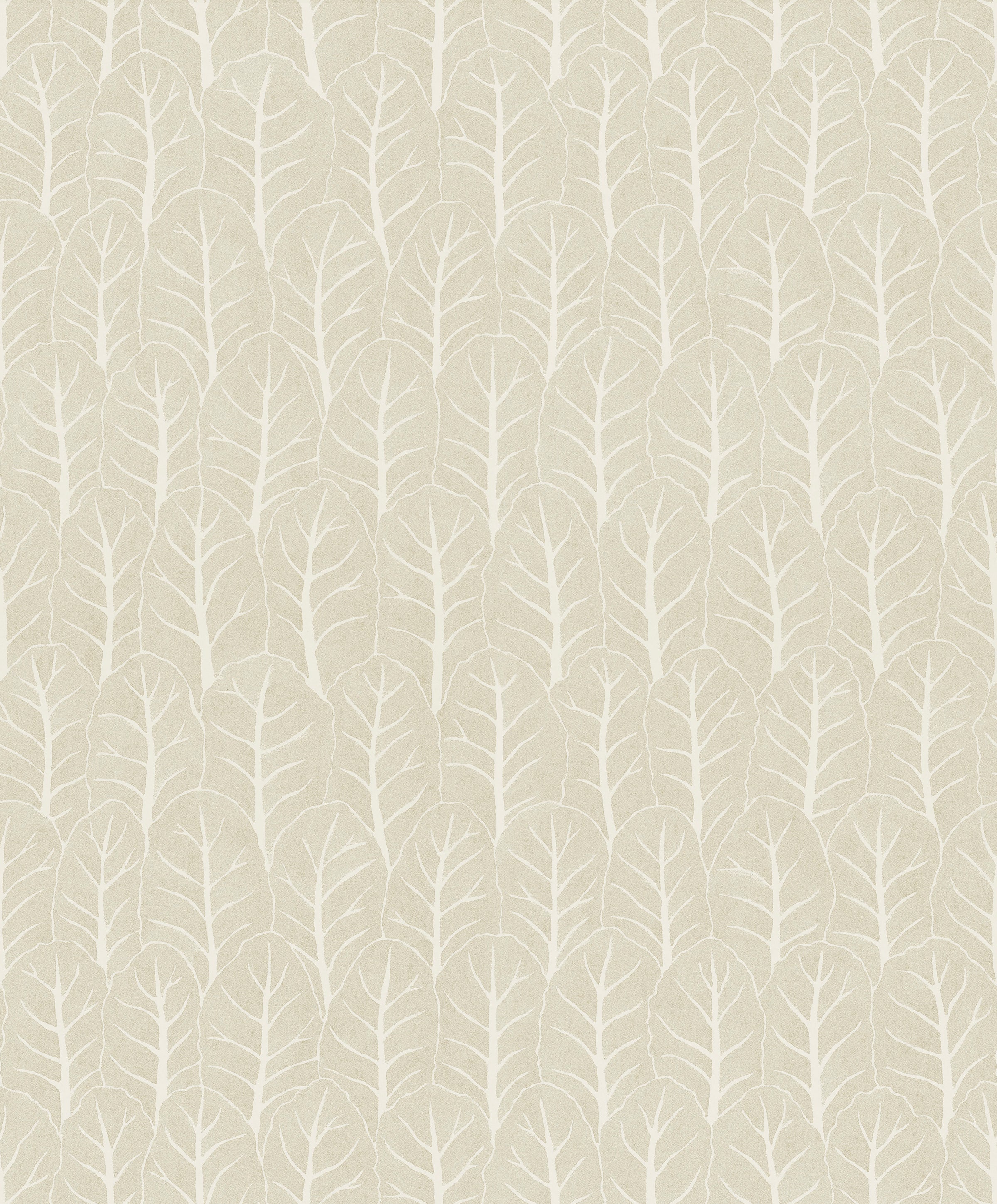 Coleslaw