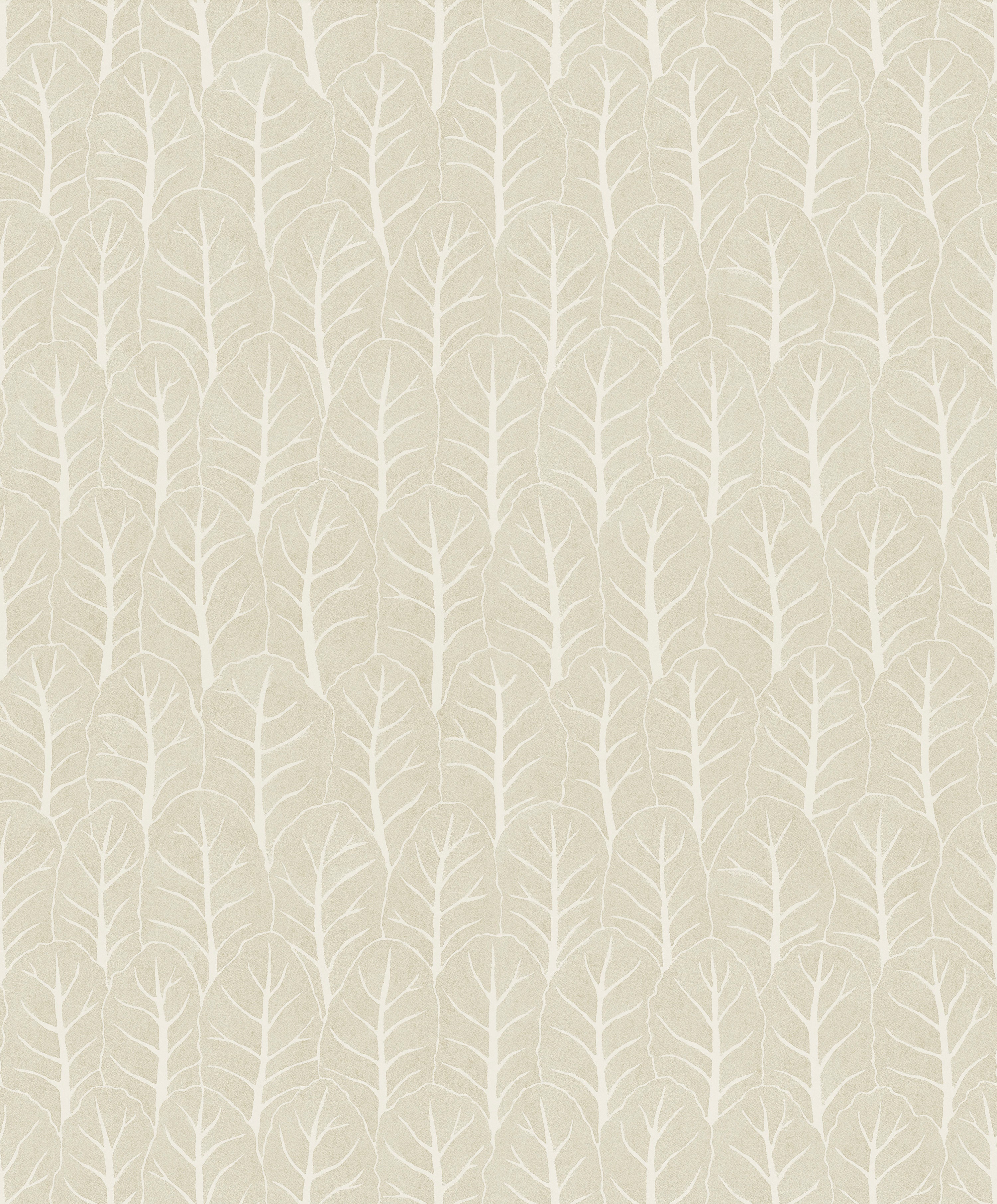 Coleslaw