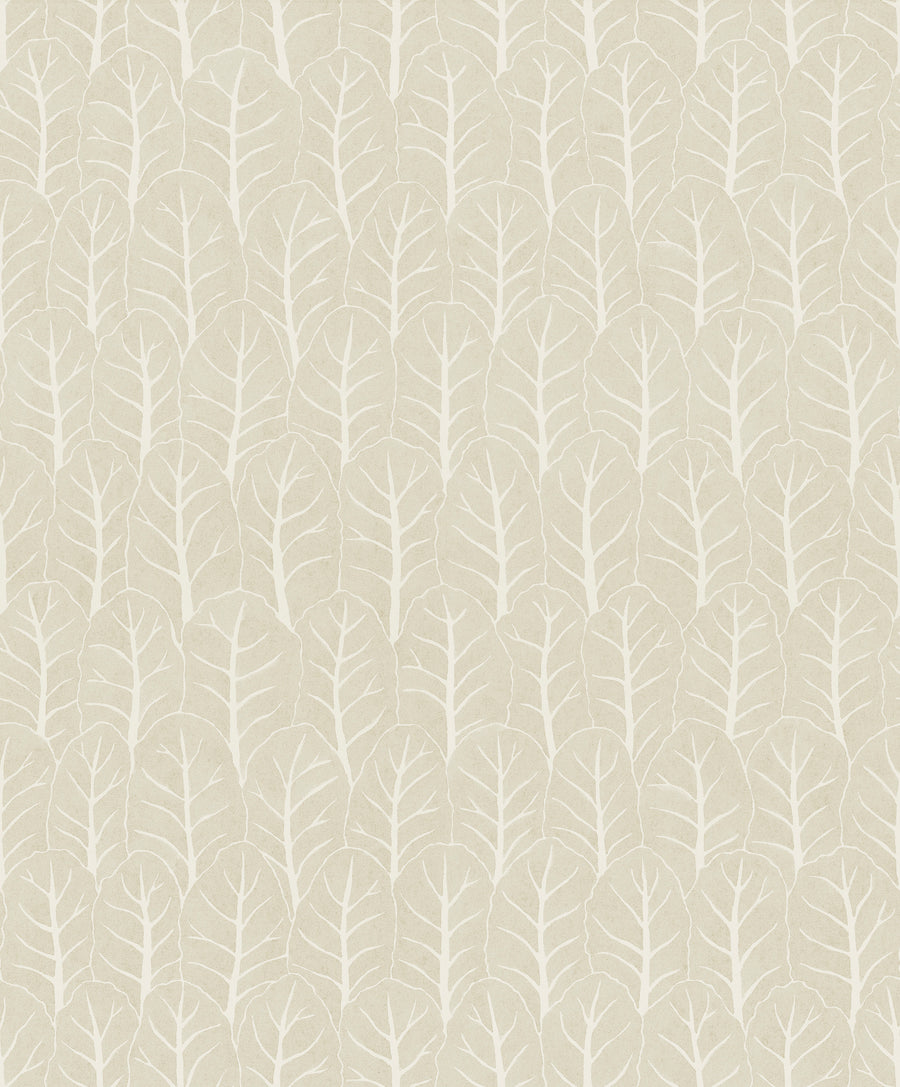 Coleslaw
